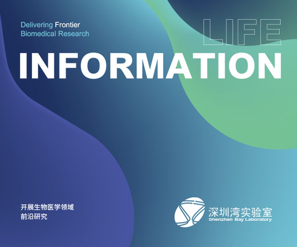 上海VI設計公司與世界500強企業的合作之道